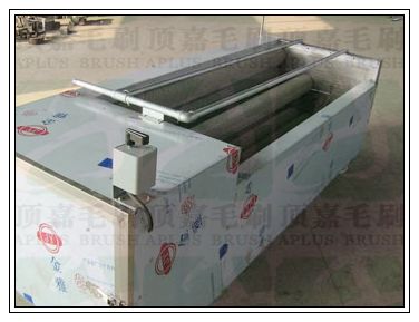 毛刷輥式核桃清洗機