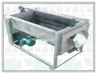 毛刷式果蔬去皮清洗機(jī)